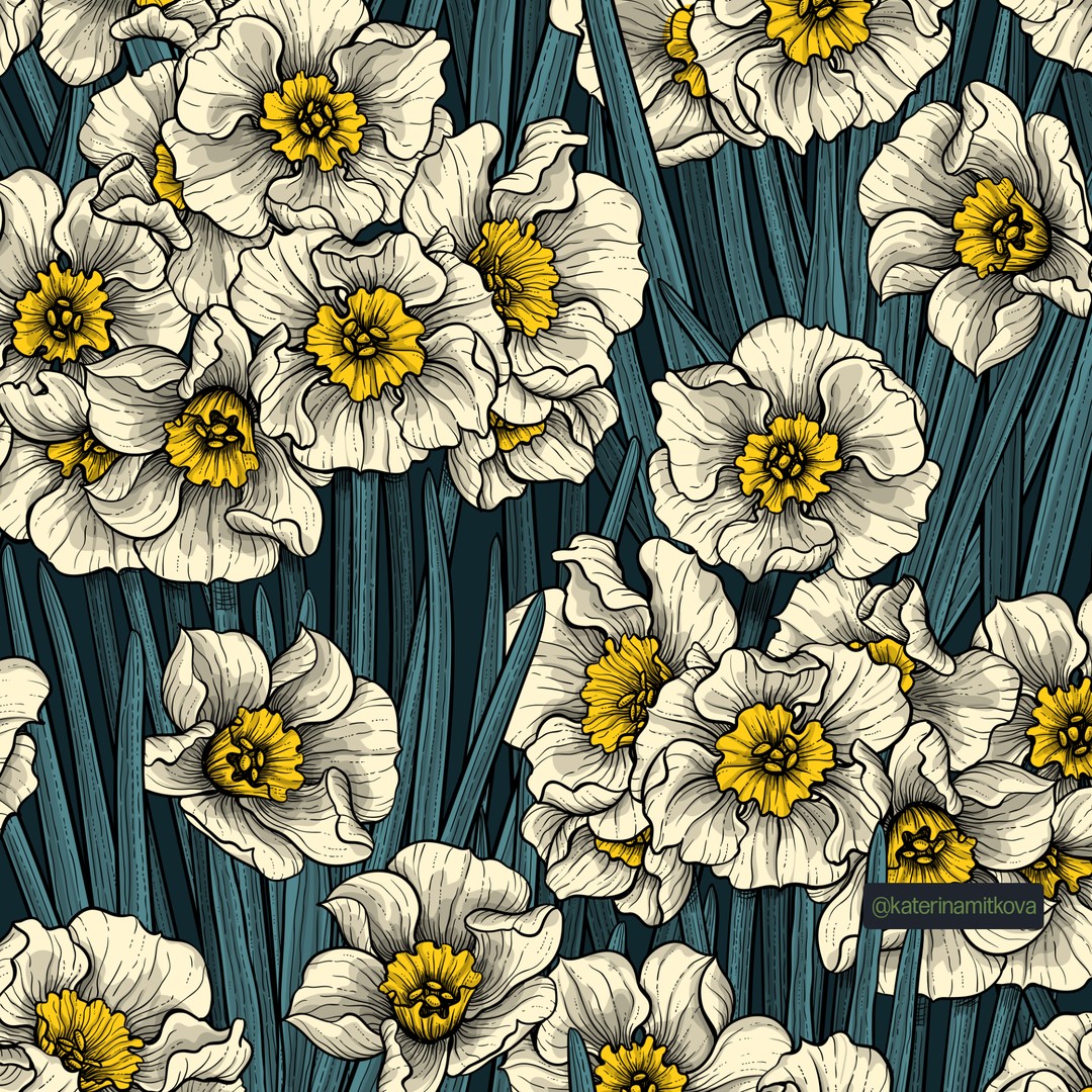 katerinamitkova's tweet photo. Daffodil garden in 4 colorways. Any favorites?
.
.
.
#daffodil #botanical #floraldrawing #floralpattern #flower #pattern #surfacepattern #surfacedesign #vector #drawing #fabric #wallpaper #Spoonflower #Society6 #redbubble #zazzle #patternobserver #patternlove https://t.co/IYUzDYr3R7