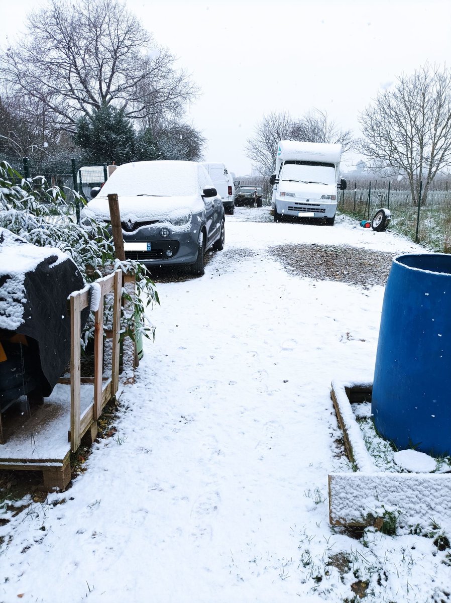 🌨️☃️ Surprise hivernale en région Bordelaise ! Un léger épisode neigeux décore nos paysages d'un doux saupoudrage blanc. La situation devrait perdurer jusqu'en soirée avec plus ou moins de tenue au sol. ❄️ #MeteoSudOuest

Photo prise aux alentours de Blaye