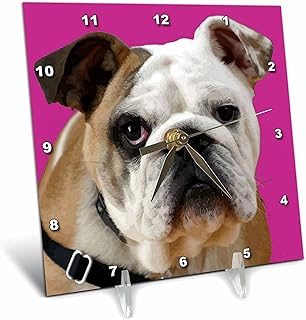 #WallClocks Amazon.com American Bulldog with Sad Eyes Vector #taiche #3drose #americanbulldog #americanbully #bulldog #dogs #dog #americanbulldogsofx #puppy #americanbulldogs #pitbull #bully #bulldogsofx #bullybreed #americanbulldoglovers amazon.com/3dRose-America…