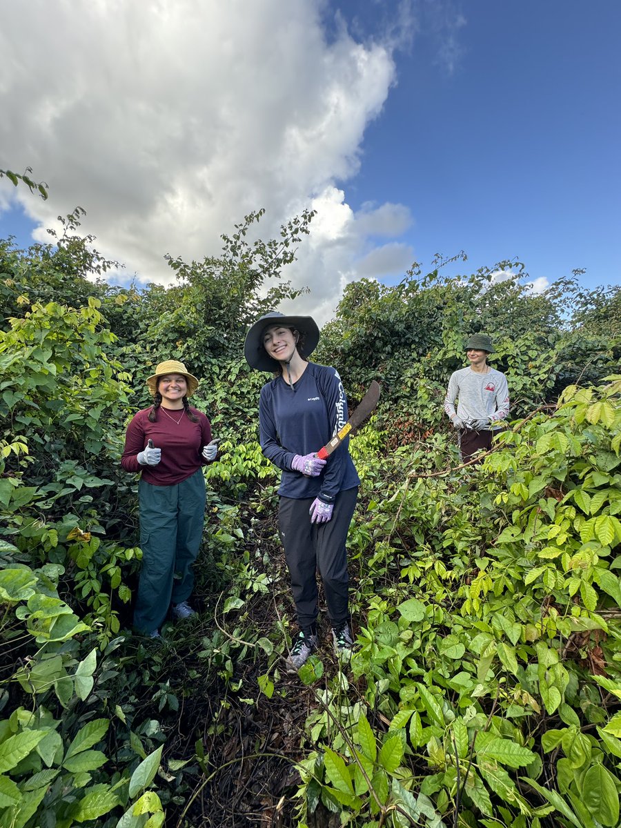BioMASSlab's tweet photo. Lots of fun yesterday! We spent the day removing invasive species from a local ecosystem.🌱🌿 We also noted what types of trees and plants exist in the area with a participatory mapping app 📱, and we met the founder of Caras con Causa! 😄 https://t.co/P6s1I7QyzN