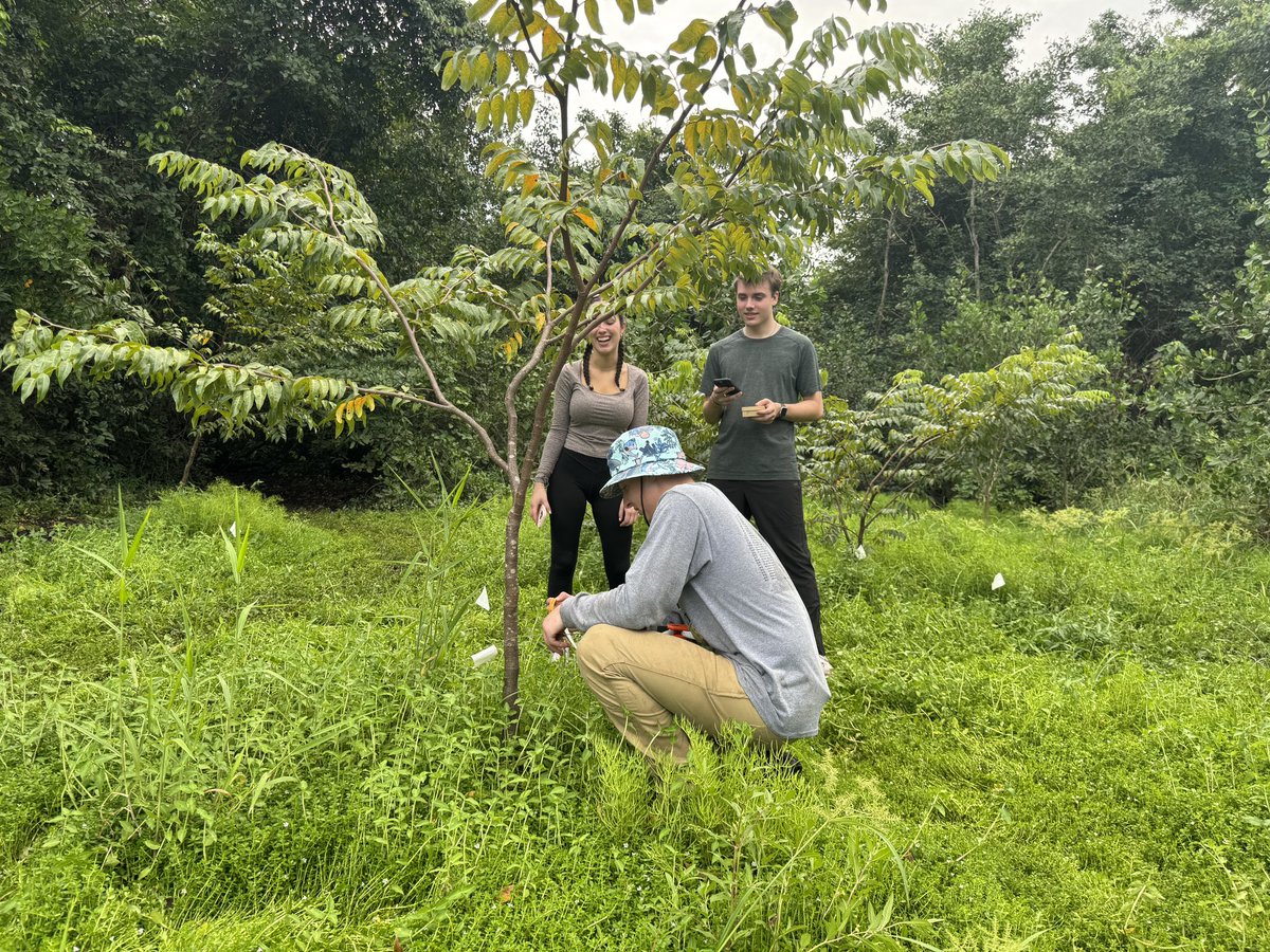 BioMASSlab's tweet photo. Lots of fun yesterday! We spent the day removing invasive species from a local ecosystem.🌱🌿 We also noted what types of trees and plants exist in the area with a participatory mapping app 📱, and we met the founder of Caras con Causa! 😄 https://t.co/P6s1I7QyzN