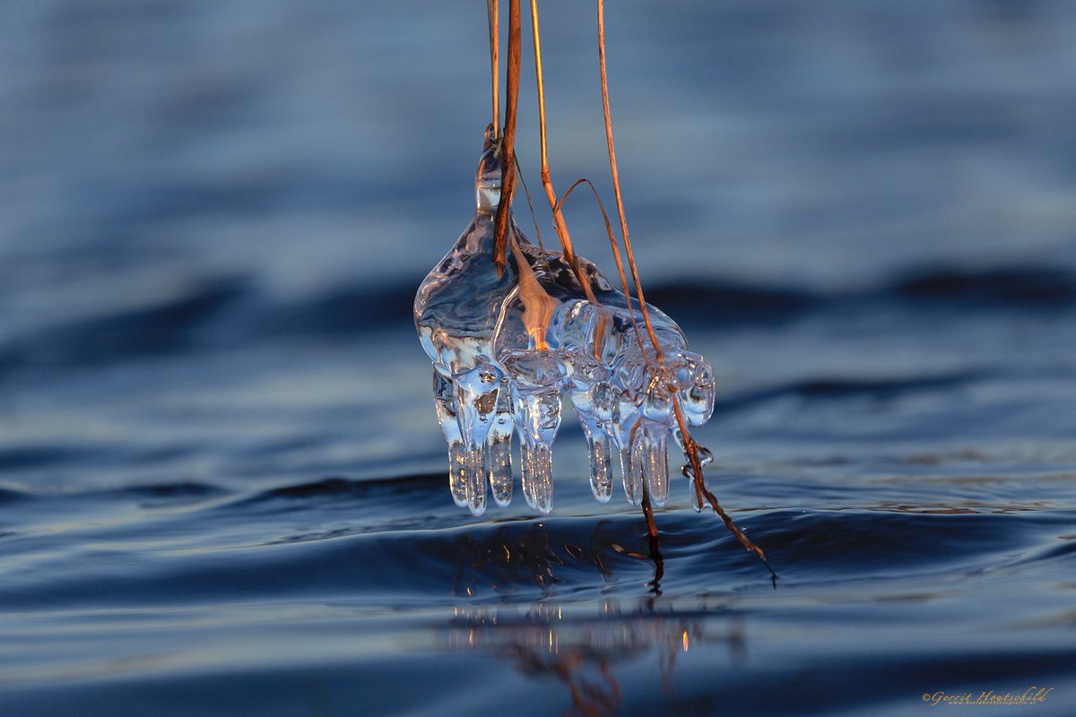 Creativiteit van moeder natuur, zo helder als glas…
Hoogwater Dalfsen.
Gefotografeerd tijdens het gouden uur.
<a href="/WDODelta/">Waterschap Drents Overijsselse Delta</a> <a href="/gem_dalfsen/">Gemeente Dalfsen</a>