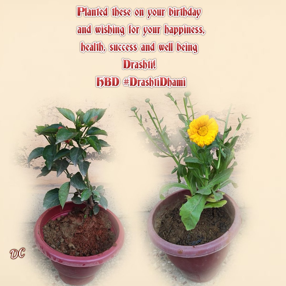 Deepti Mehra tweet media