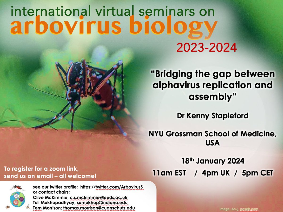 Hi everyone and happy new year to you all! We have our first seminar of the year THURSDAY 18th from the ever engaging Kenny Stapleford @nyugrossman with his fascinating research on alphavirus infection. Research interests; #alphavirus #dissemination #virus_vector #evolution 🙏RT