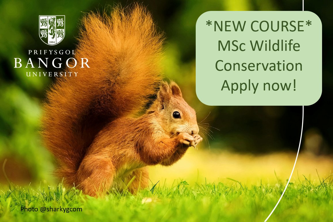 BangorBioZoo's tweet photo. *New course* Apply now and you could be studying in Beautiful North Wales this September! https://t.co/3O4SaWyAhH https://t.co/ZXzWzPGLA7