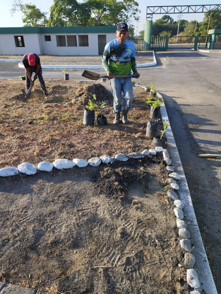 #Buenosdias  
Siguen las labores en el ovalo del cabriales <a href="/OficialHinava/">HINAVA</a> desde muy temprano, siembra de plantas y chaguaramos para el embellecimiento de las areas verdes del Hipodromo, paso a paso se van logrando los objetivos FELICITACIONES A <a href="/StudHgubaira/">𝙃𝙐𝙈𝘽𝙀𝙍𝙏𝙊 𝙂𝙐𝘽𝘼𝙄𝙍𝘼</a> y su equipo 🙏🙏🙏