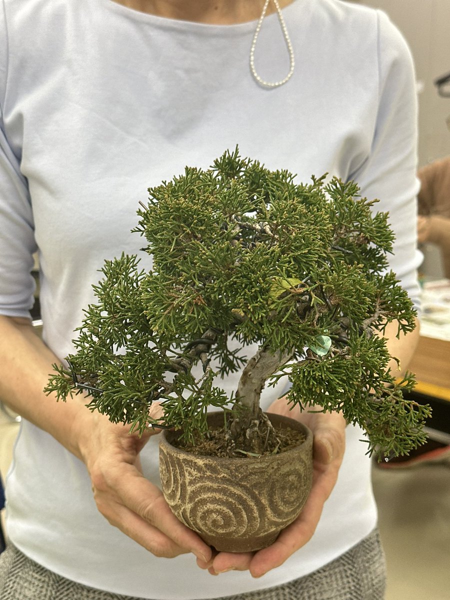 rinhabonsai's tweet photo. 千代田区　竹橋駅直結ビル
＠mainichiculture 
にて夜classレッスンでした♬
お仕事帰りでお疲れの皆さまですが
「盆栽が息抜きになる♬」
と言ってくださいます😆

#お仕事帰りの盆栽教室
#お仲間募集中
#毎日文化センター
#盆栽教室
#千代田区でお稽古
#bonsai
#盆栽
#琳葉盆栽
#琳葉盆栽教室 https://t.co/YcPbsya2F0