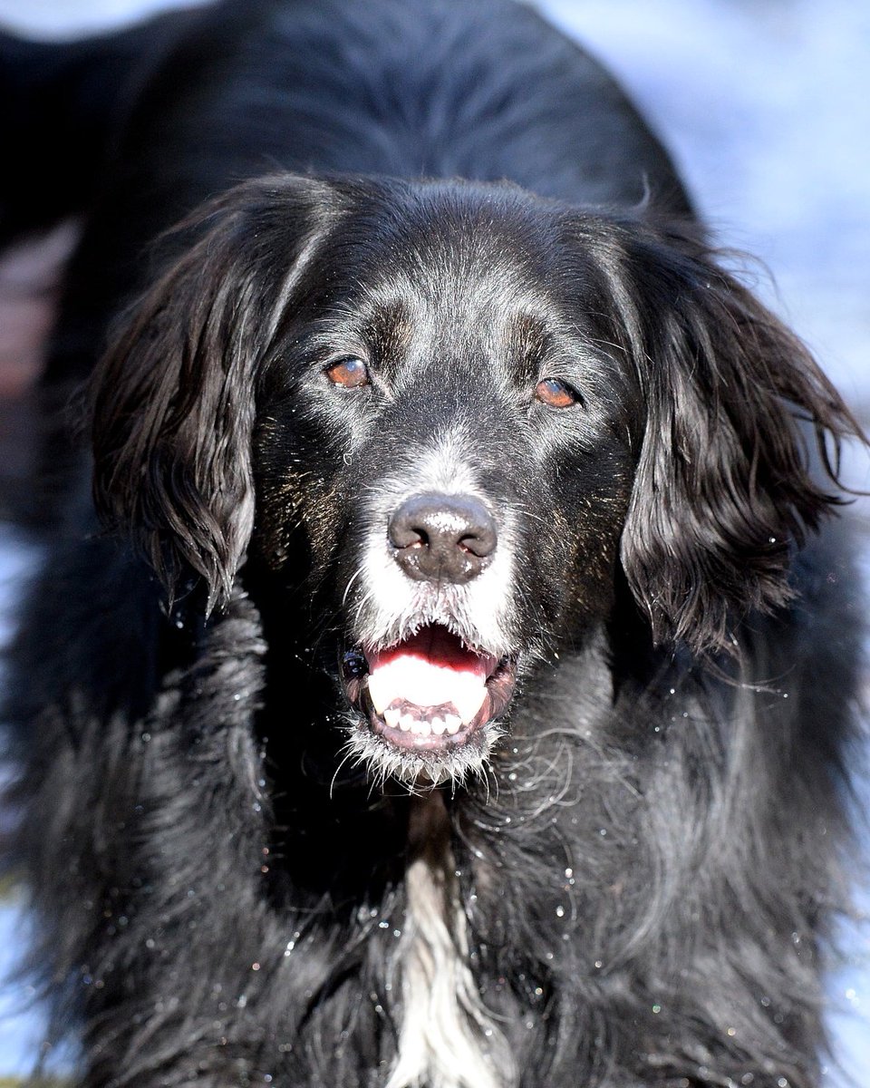 Peter Bee 🐝 tweet media