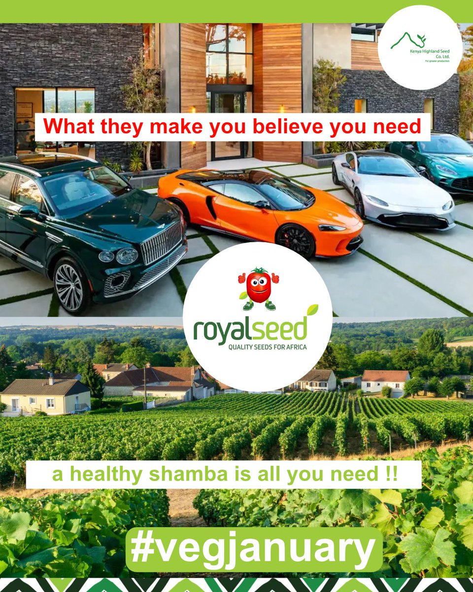 RoyalSeedKE's tweet photo. Choosing the simplicity of farm life over the hustle of the city. Embracing the green goodness of Royalseed veggies this #VegJanuary. π±π‘ #ShambaLife #RoyalseedHarvest ππ https://t.co/P7kQYeJnEG