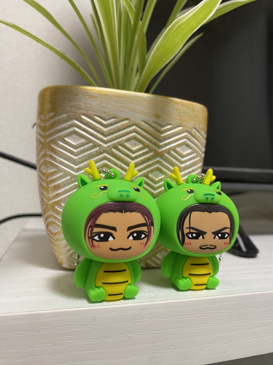 みぃやん🐉🦁 tweet media