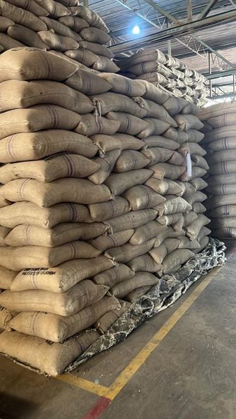 made in uganda online ltd tweet media