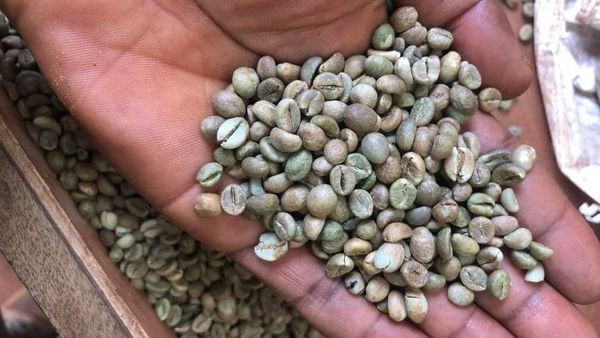 made in uganda online ltd tweet media