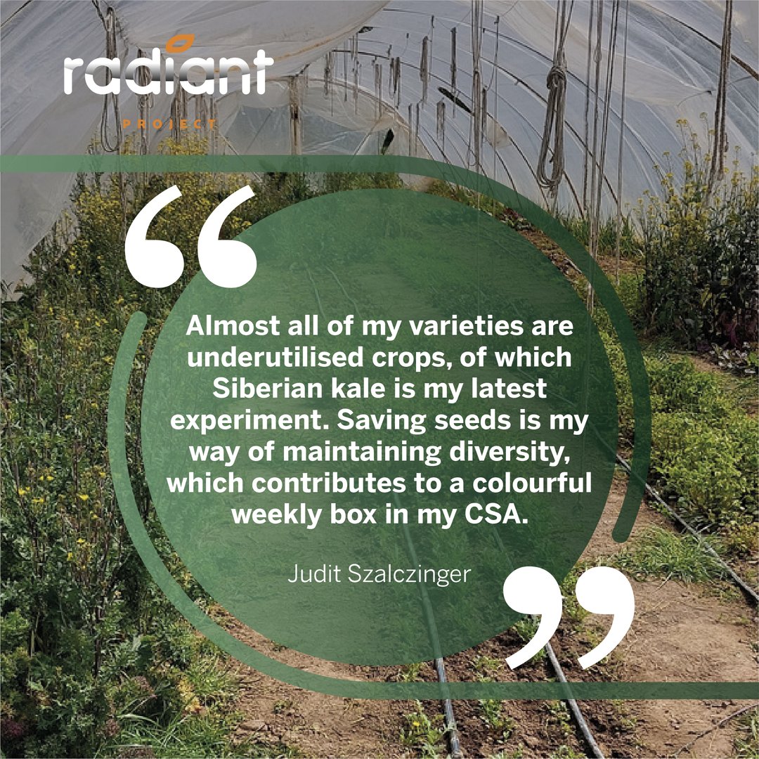 Meet our Participatory Farmers! The #RadiantProject has featured testimonies from several farmers across Europe regarding their experience. Come and meet Judit Szalczinger and find out more about her experience.​ #RADIANT #ParticipatoryFarmers #Farming #Agriculture