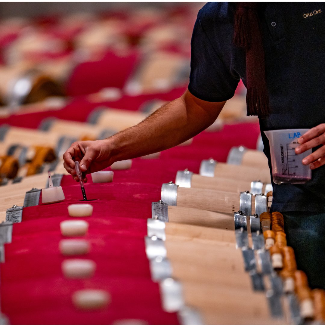 In: honoring traditions and sincere attention to detail
Our notable Grand Chai is home to two vintages resting and aging in barrel. Our team routinely and passionately restains the famed red barrel staves after humidity, racking and pulling flaws their appearance.