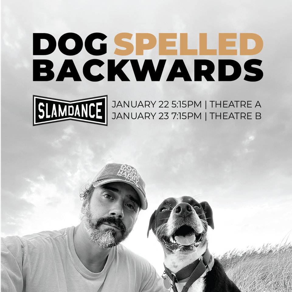 So excited for the 'Dog Spelled Backwards' premiere at Slamdance, Jan 22-23! A film showcasing Tim Almeida's inspiring work in dog behavioral training and his mission to find forever homes for shelter dogs. In the Park City area? Don't miss it! Tickets:  slamdance2024.eventive.org/films/6570bb3a…