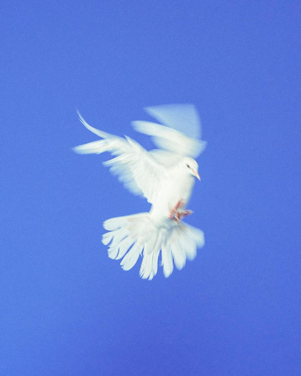 ChicanoBatman's tweet photo. 1.23.24 🕊

https://t.co/JJytQeQ8HJ https://t.co/CQIupWrezx