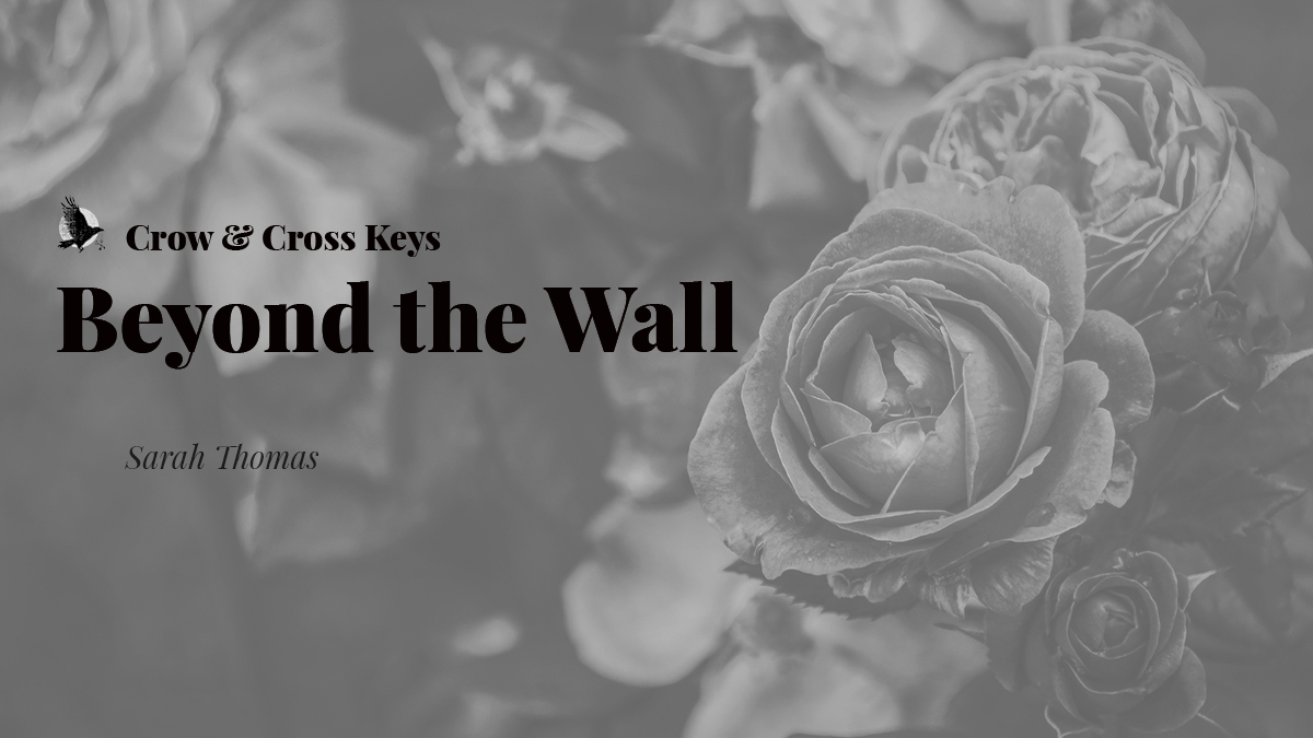 We have a short and not-quite sweet story for you this wintry Wednesday. Beware old doors... 

"Beyond the Wall" by <a href="/sarah_slthomas/">Sarah Thomas</a> 

crowcrosskeys.com/2024/01/10/bey…
