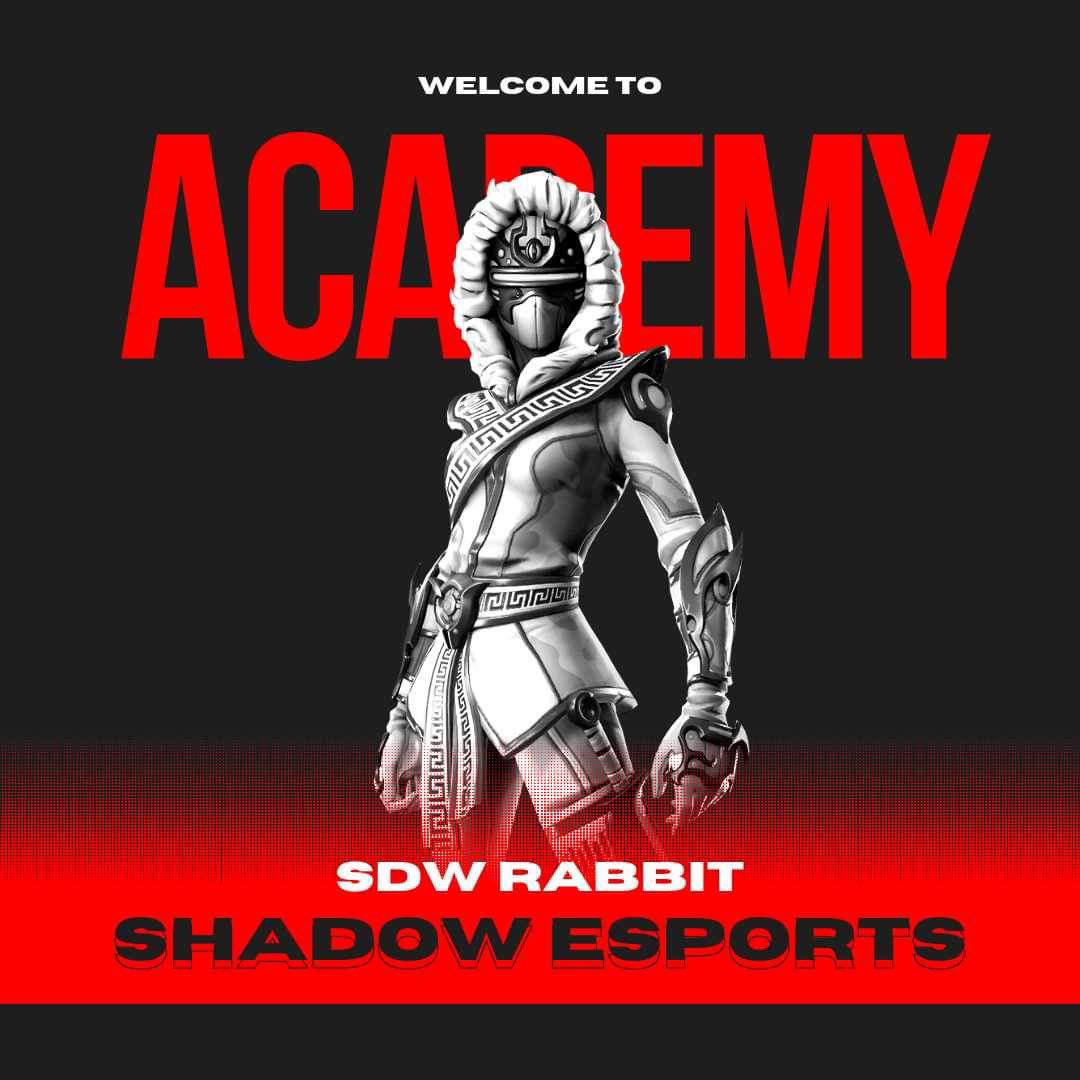 Team Shadow tweet media