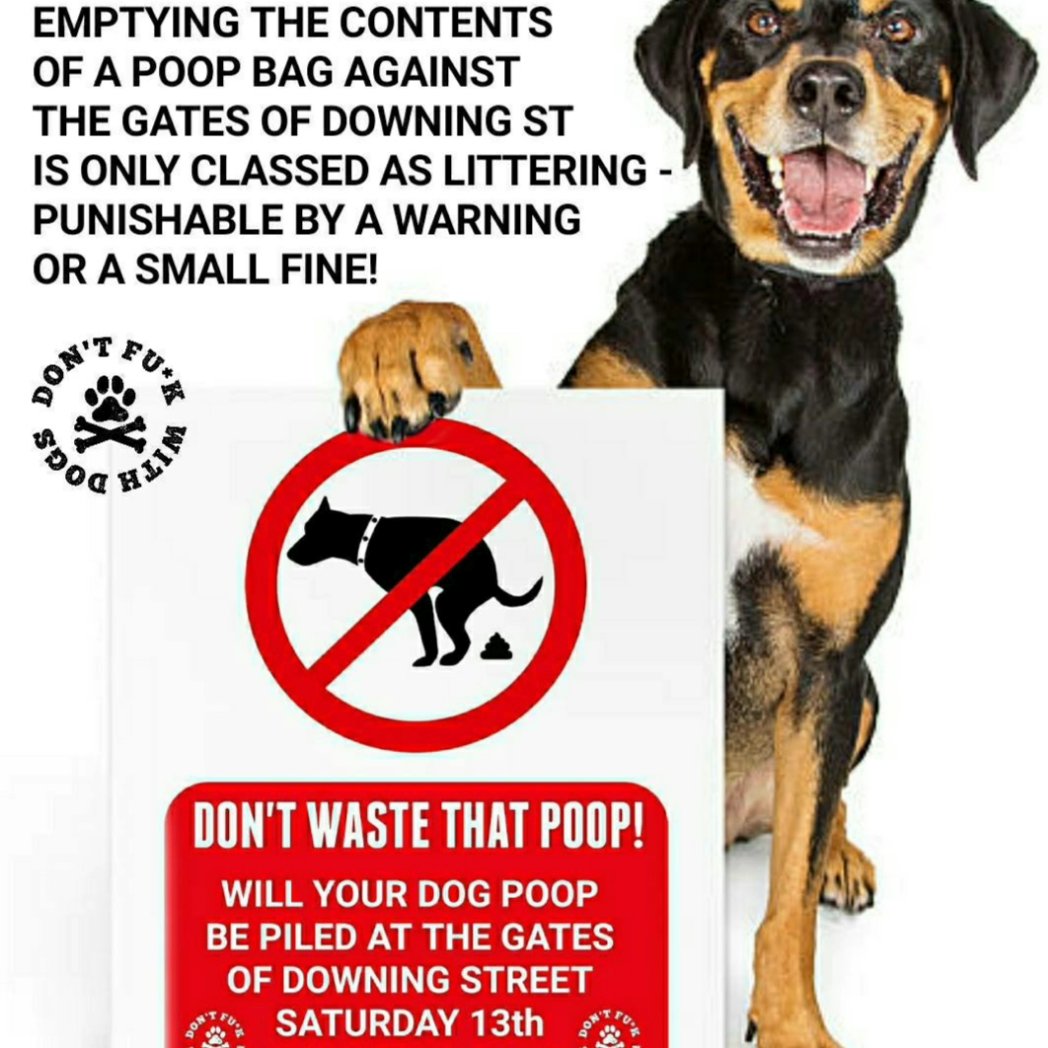brobyn852's tweet photo. @BullyWatchUK @DogsTrust https://t.co/3L9o6UPg1z