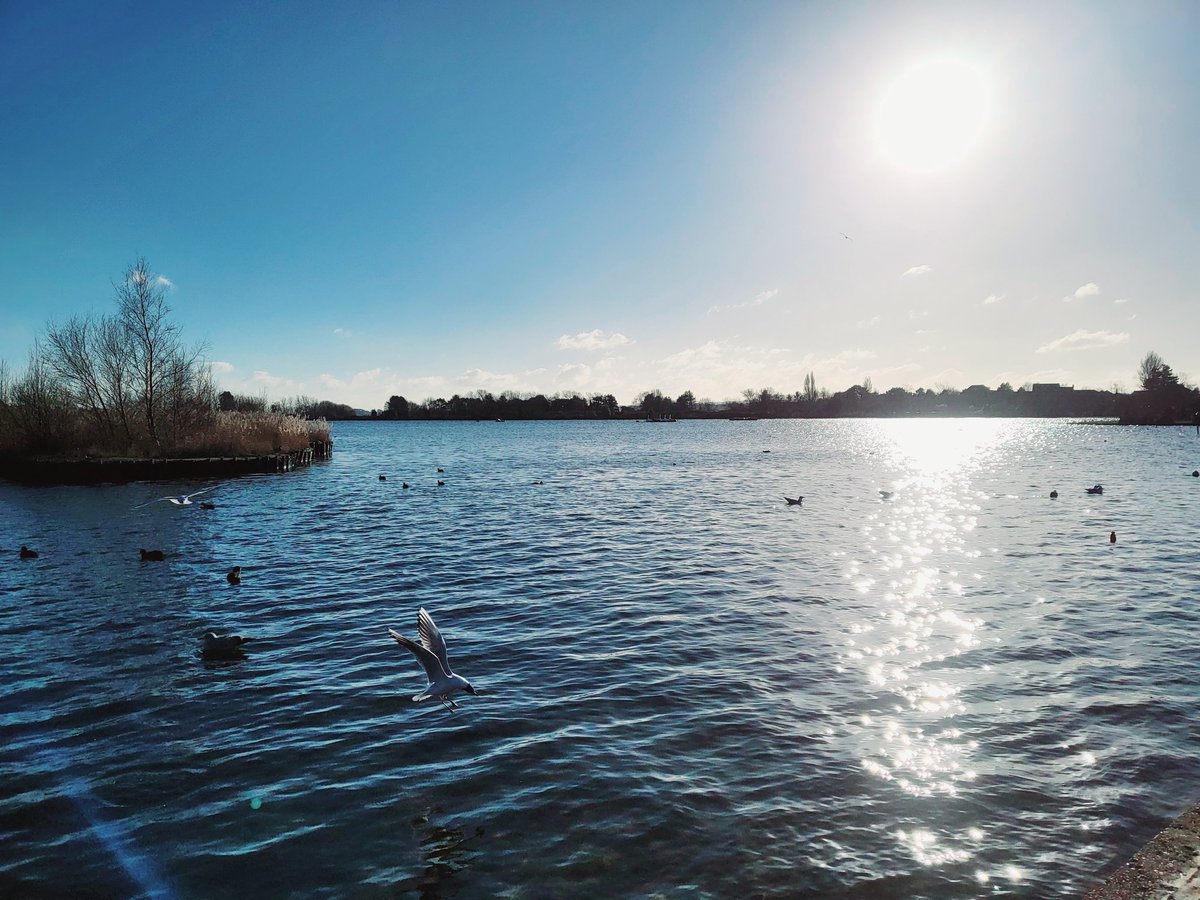 Lauren Nolan tweet media