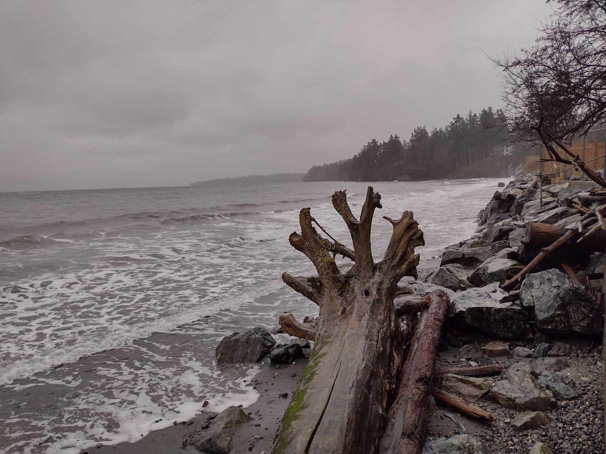 OriginalGCG's tweet photo. Happy #FaultFriday! GCG member B.T. recently made the rainy trek to see the two (terrestrial) ends of the XEOLXELEK-Elk Lake fault in BC, Canada, newly discovered by @NHarrichhausen et al last December. You can read their article here: https://t.co/CNMA4ejsV2 https://t.co/usszZhJ0Mt