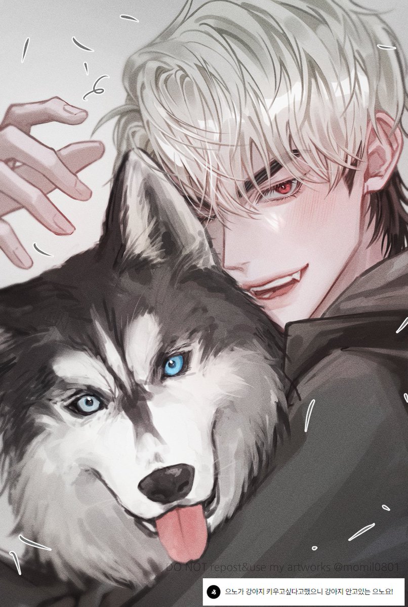 리퀘박스
강아디x2