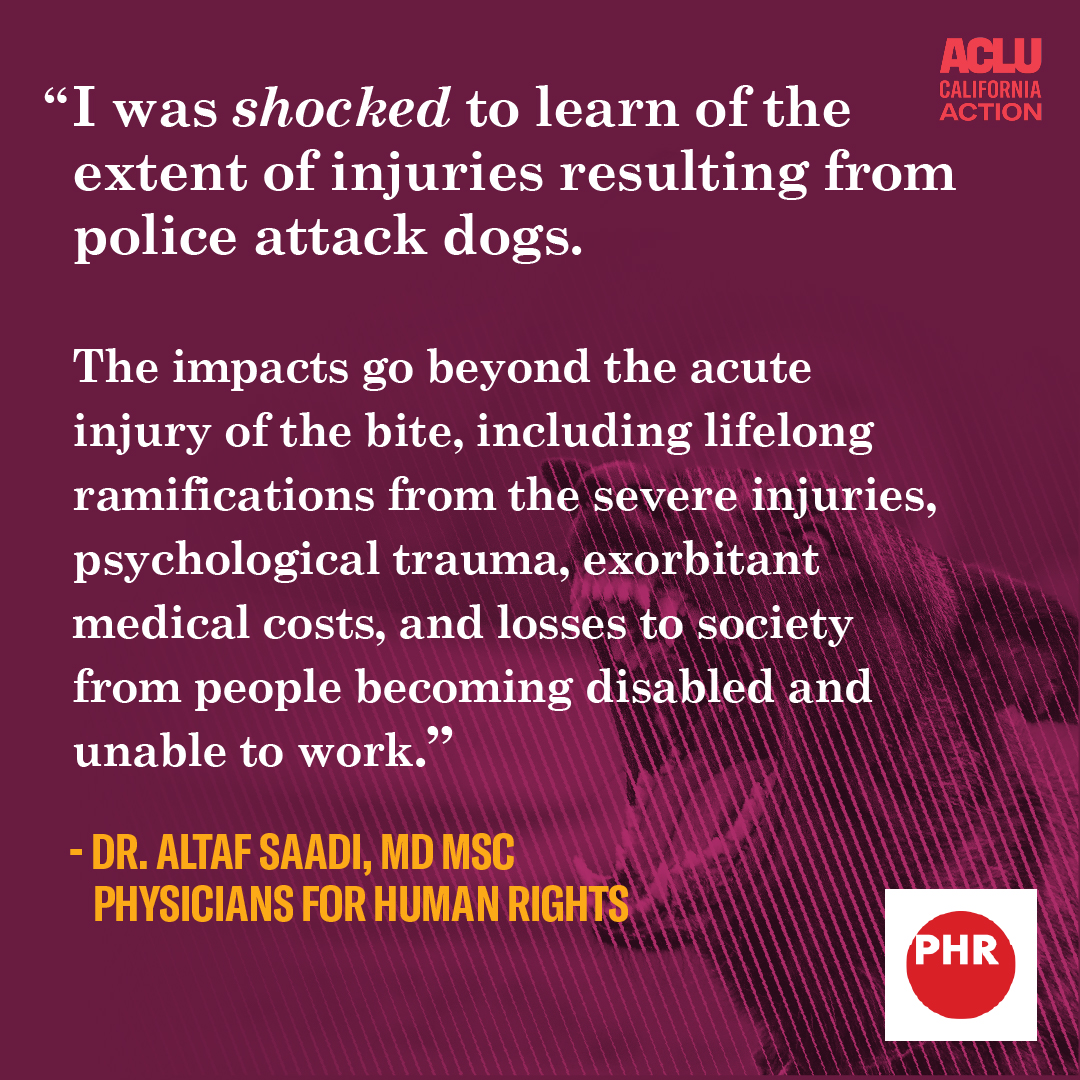 P4HR's tweet photo. "Californians have suffered extreme physical and psychological harms from the unleashed brutality of police attack dogs,” said Dr. @AltafSaadiMD, PHR medical expert and assistant professor of neurology at Harvard Medical School. https://t.co/uAY33cJ5xq