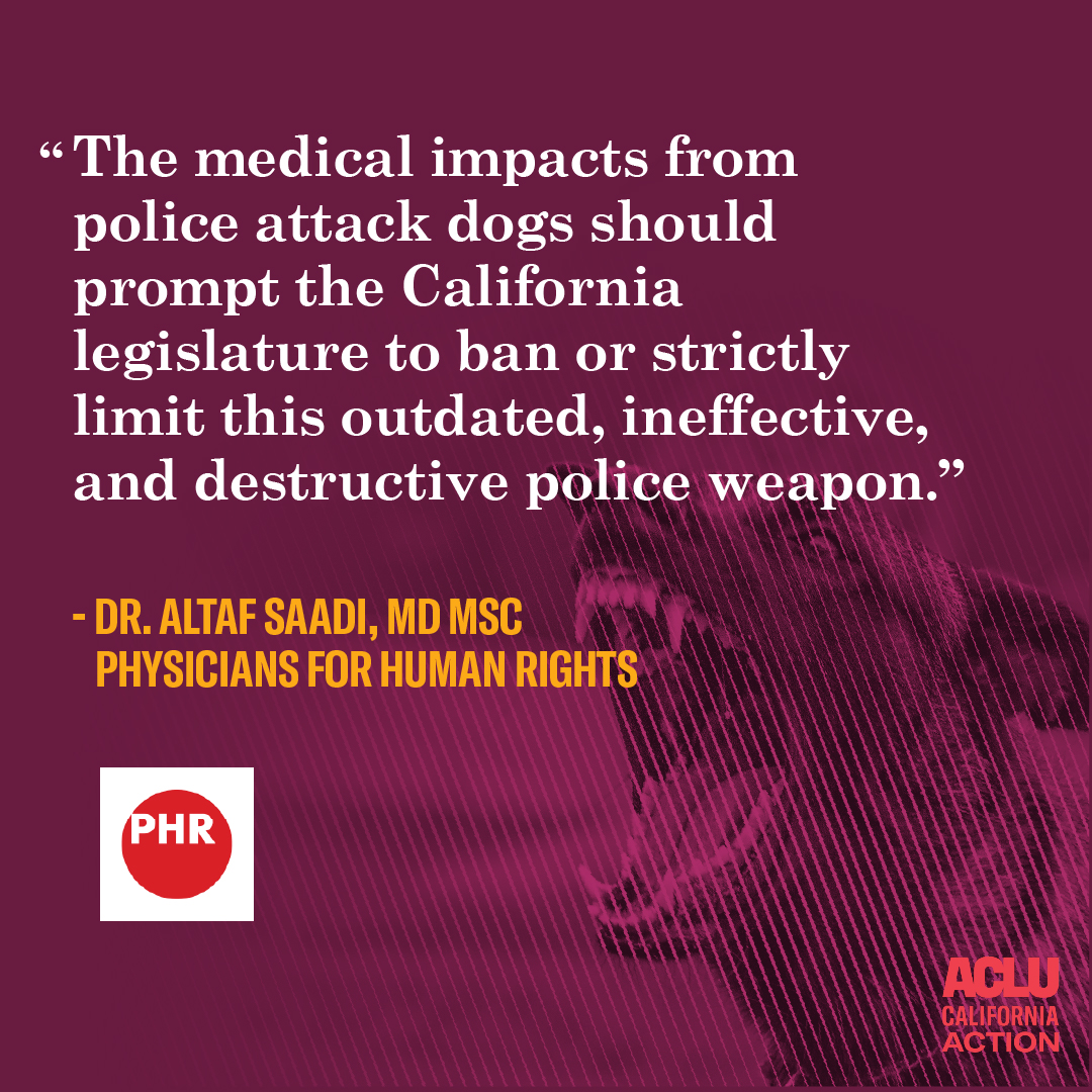 New PHR expert medical opinion: California police deployment of attack dogs has resulted in severe injuries, disfigurement, and disability. PHR calls on the California legislature to ban or strictly limit the use of police attack canines in the state. phr.org/our-work/resou…