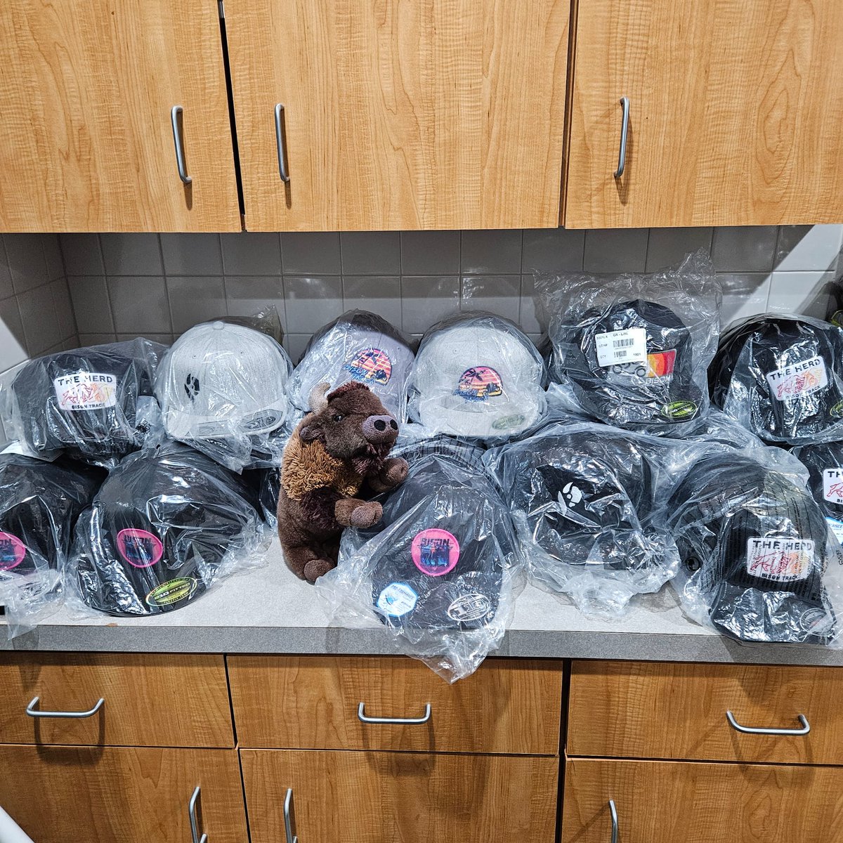 BisonTrack's tweet photo. Thor was cooped up in the office doing inventory with Kathy all weekend and together they determined WE HAVE TOO MANY HATS! Visit our website, choose any two hats and the BOGO discount will apply automatically at checkout. https://t.co/6p9O27H3SA #whereintheworldisthor https://t.co/2SNgnAKyw2