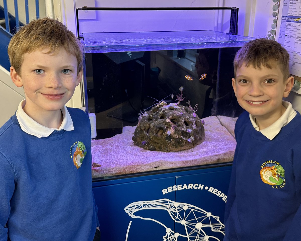 WinterslowSch's tweet photo. Keeping an eye on our beautiful piece of coral reef, Kingfishers can report that it is thriving in its new location in Mrs Malcolm’s office. Our little shrimp even had a growth spurt overnight and shed his exoskeleton! #supportingouroceans #bringlearningtolife https://t.co/8vyf7bCgmP