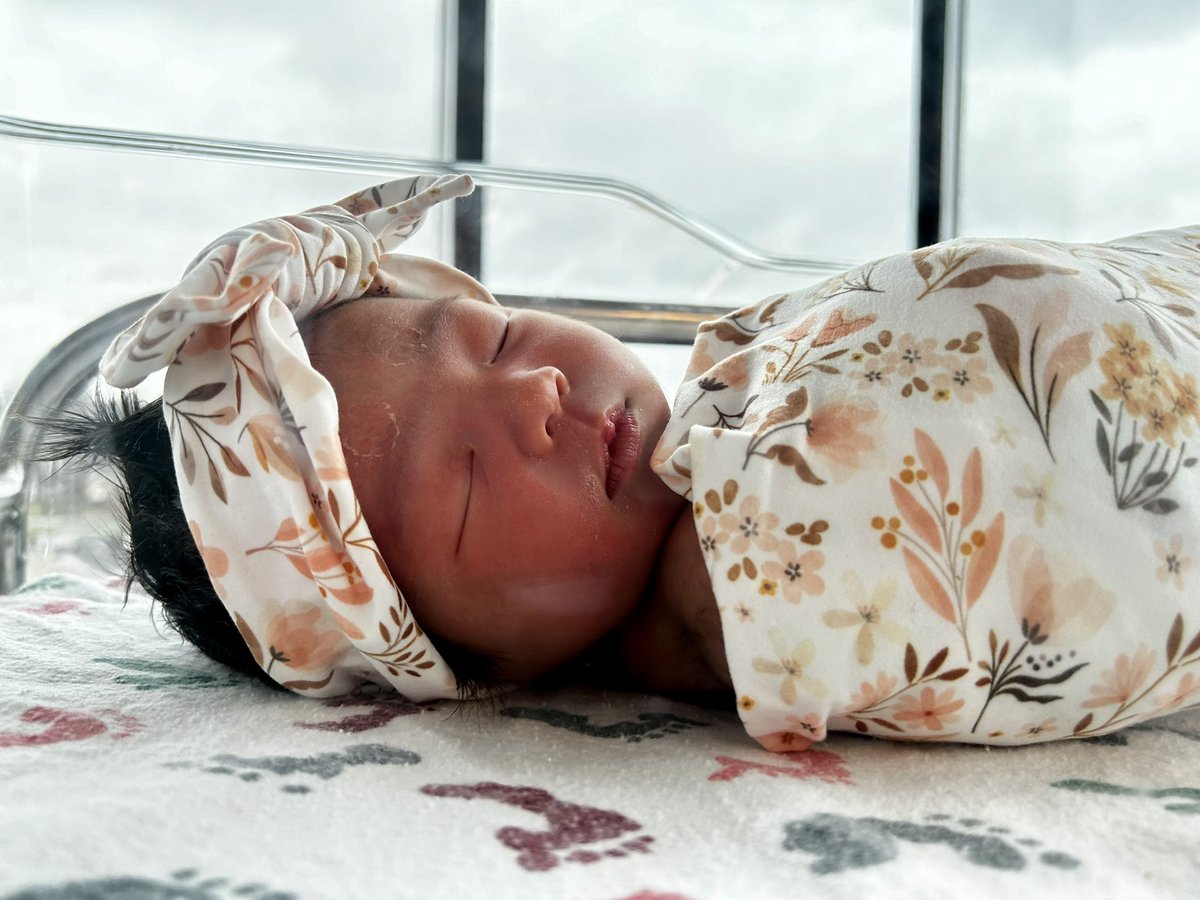 ayendy bonifacio tweet media