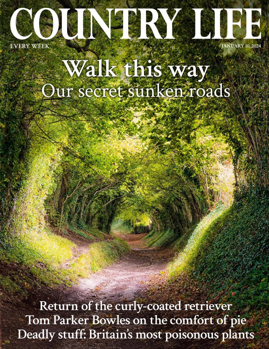 sunkenlanes's tweet photo. Thereβs a nice feature by Ben Lerwill on #holloways in this weekβs Country Life.
Alas itβs not available online but well worth a read while enjoying the warmth near the magazine stand for a while.
#hollowwaywednesday #sunkenlanes #holloway #countrylife #withano https://t.co/RAZSnQltTB