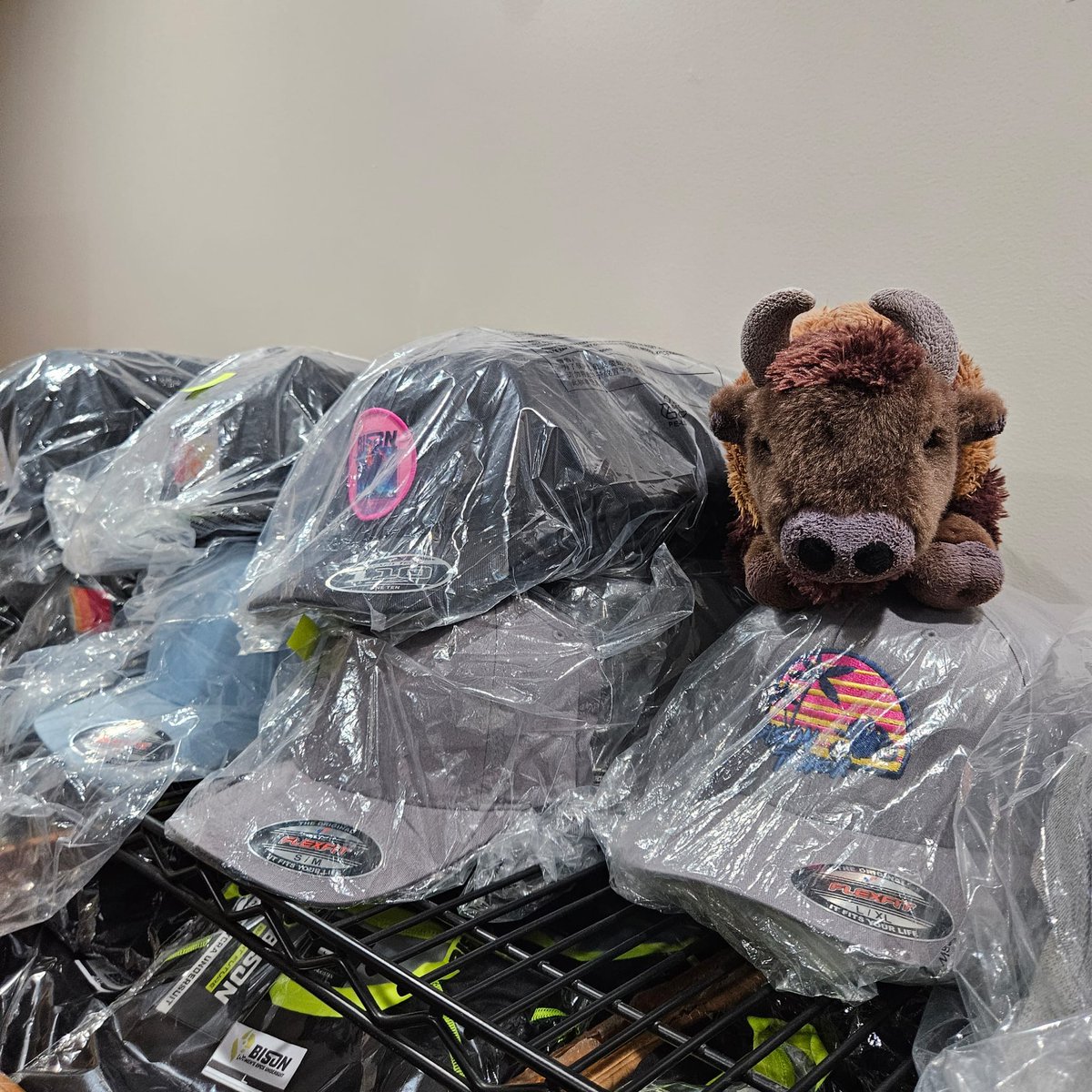 BisonTrack's tweet photo. Thor was cooped up in the office doing inventory with Kathy all weekend and together they determined WE HAVE TOO MANY HATS! Visit our website, choose any two hats and the BOGO discount will apply automatically at checkout. https://t.co/6p9O27H3SA #whereintheworldisthor https://t.co/2SNgnAKyw2
