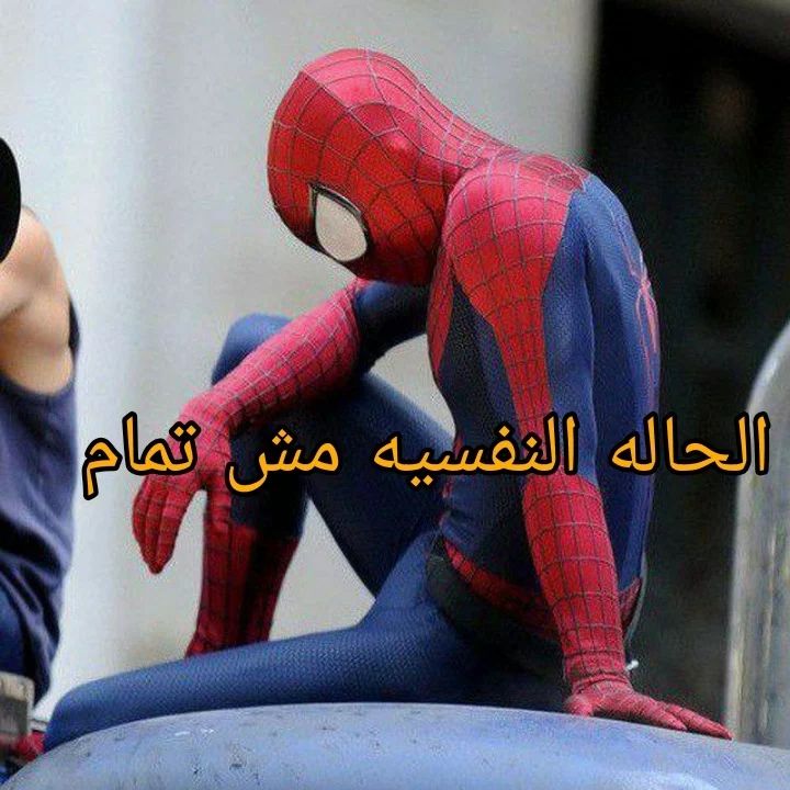 True Memes (@truememes_) on Twitter photo 