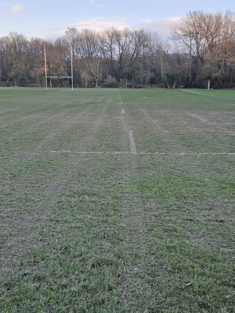 BeesGroundsman tweet media