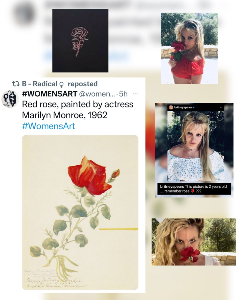 britneys369's tweet photo. #britney #MarilynMonroe #redrose #readbookseveryday https://t.co/NnixpDDbrw
