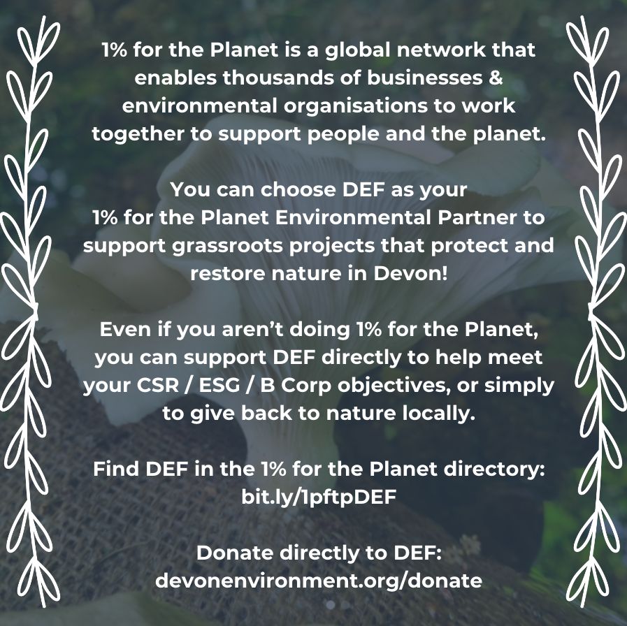 Support us &amp; choose DEF as your 2024 charity partner 🌿✨ Help us fund local conservation &amp; restoration projects &amp; make a tangible difference in Devon! Visit the link to discover more: devonenvironment.org/support-us-cho…
🌍💙
