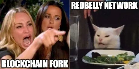 cinadg31's tweet photo. @RedbellyNetwork https://t.co/wW5lRH8WBY