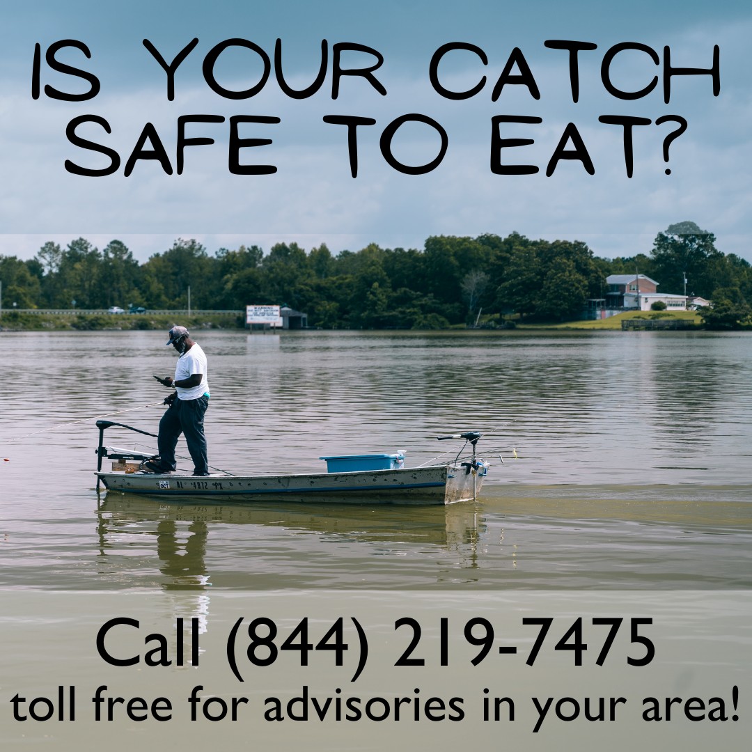 Happy Friday Coosa fam, we know that even though it's cold outside, our fisherwomen/men are still on the water so just remember that the toll-free Alabama fish advisory hotline is always at your fingertips 📷.coosariver.org/fishguide/cast!