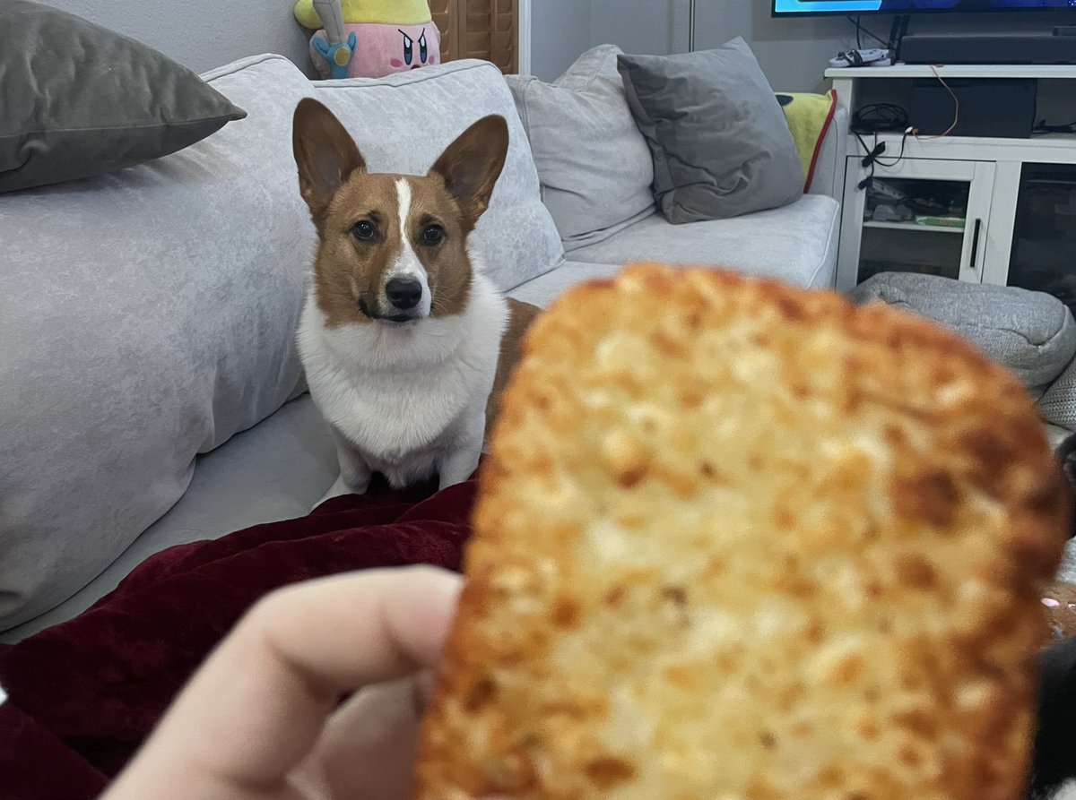 ZeRoyalViking's tweet photo. Eating a hashbrown in front of Hashbrown.

You can’t have this buddy. That’s cannibalism. https://t.co/GzqS284wHc