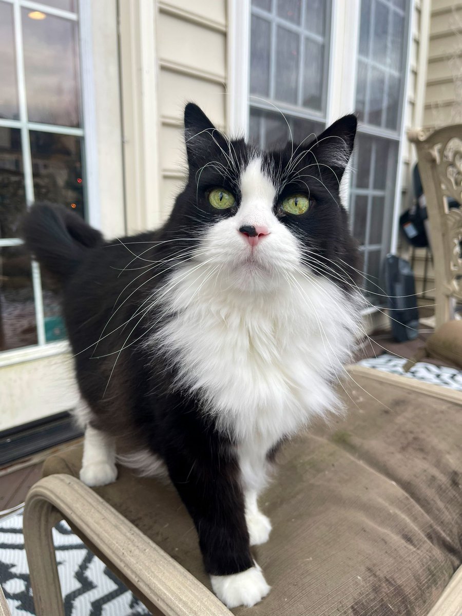 Catrepeneur's tweet photo. Greeting humanoids face https://t.co/PJCorsZ7KL