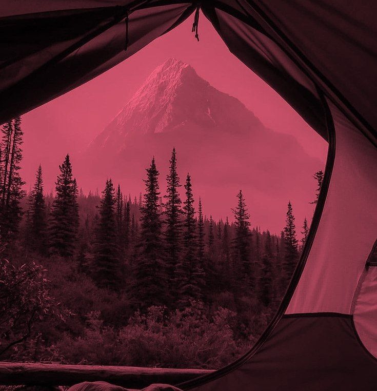 ᅟᅟ⠀⠀⠀⠀⠀⠀⠀⠀ᅟᅟᅟᅟᅟᅟᅟᅟ
⠀ᅟᅟ
⠀⠀⠀⠀⠀⠀𝐀lém disso fiquei me preparando nestes últimos dias, indo ao mercado e comprando um montão de coisa, o motivo é por que fui acampar com a minha namorada, nunca acampei então estava ansiosa hihi.
⠀⠀⠀⠀⠀⠀
⠀⠀