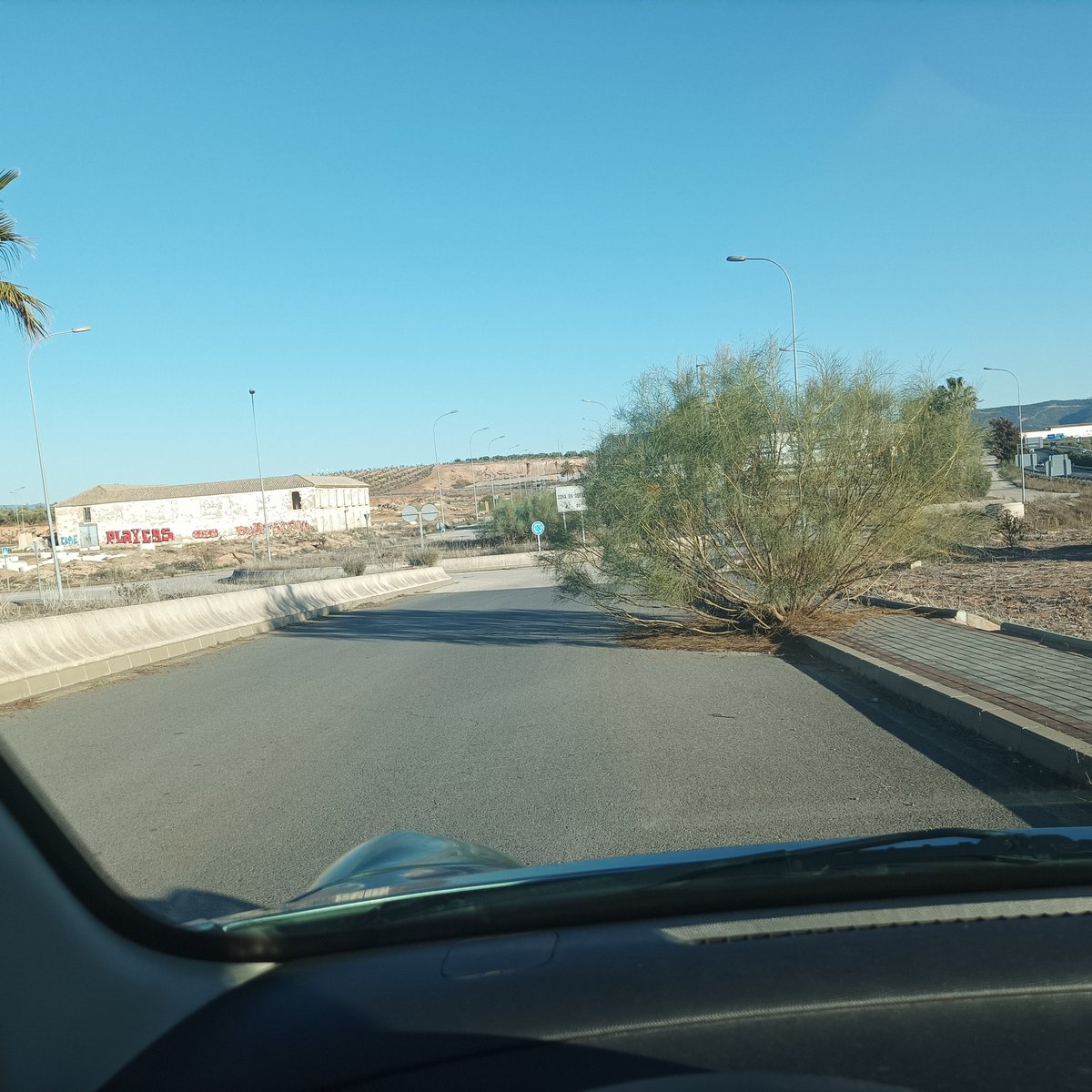 NoaAngie's tweet photo. Hago un llamado a @manolo_baron ya que en Centro Logístico Antequera (vía Cartaojal)hay arbustos en la mitad de la vía, representando una grave peligro para los conductores un aunado a la ausencia de iluminación pública. Deseo haya una pronta intervención por parte de la alcaldía https://t.co/T3wXVhedUk