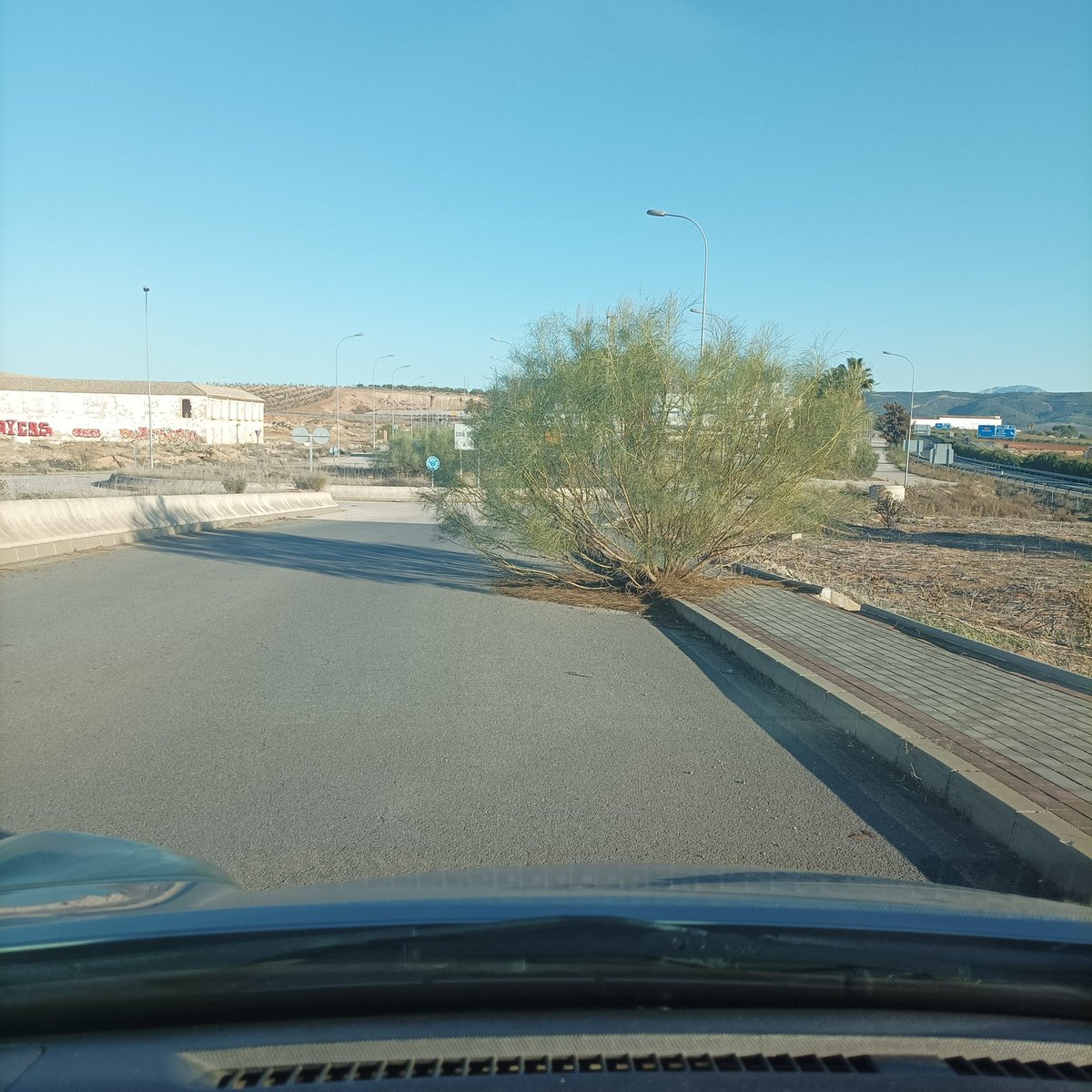 NoaAngie's tweet photo. Hago un llamado a @manolo_baron ya que en Centro Logístico Antequera (vía Cartaojal)hay arbustos en la mitad de la vía, representando una grave peligro para los conductores un aunado a la ausencia de iluminación pública. Deseo haya una pronta intervención por parte de la alcaldía https://t.co/T3wXVhedUk