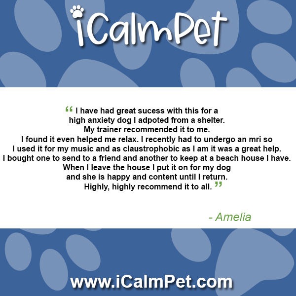 iCalmPet's tweet photo. Share your experience with iCalmPet products and a photo of your pet by emailing social@icalmpet.com

#icalmpet #petcalmingmusic #peoplecalmingmusic https://t.co/PJAxLXKZCN