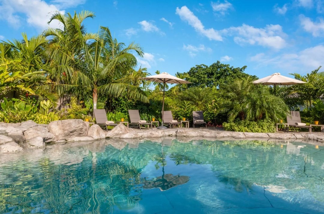 Mlle_MMA's tweet photo. 🎉 L'Habitation Saint-Charles, located in Petit-Bourg #Guadeloupe is listed among the "25 Coolest Hotels in the #Caribbean for 2024" by the Caribbean Journal 

cc @caribjournal @visitGuadeloupe
#Tourism #BestHotels 

https://t.co/T96jcM5ese https://t.co/VPvmuo2Pgh