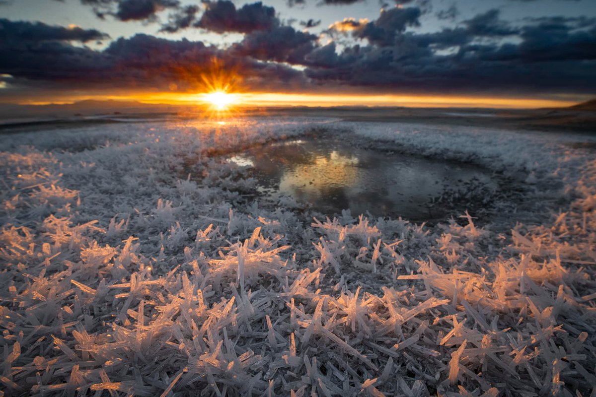 A stunning image of what we're working hard to help protect. 😍 Thank you to Jami Bollschweiler for sharing this photo of mirabilite crystals (aka Glauber's salt) at the #GreatSaltLake! Learn about the collaborative work happening to preserve the lake at greatsaltlake.utah.gov.