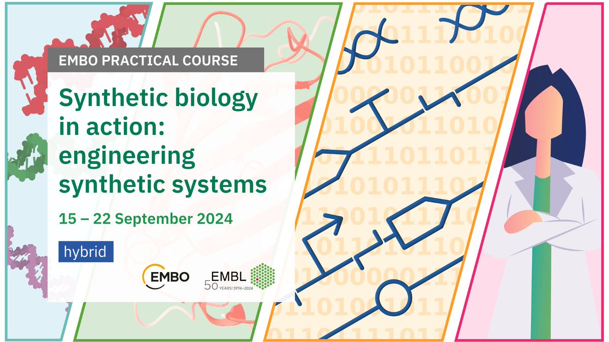 Are you a PhD student or early post-doctoral researcher interested in engineering synthetic systems? Register your interest for the upcoming practical course 'Synthetic biology in action: engineering synthetic systems' by visiting: bit.ly/3SdB8pN @EMBO @embl