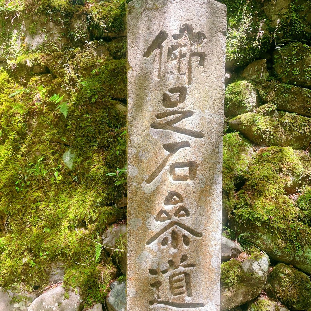 vice89152195's tweet photo. 京都郊外は徒歩で世界外桃源美山町に迷い込む
日本で最も古い茶園と出会った
お茶が好きな私にとっては本当に大きな驚きです
栄西は中国から日本に帰る時にお茶の種を持ってきたと伝えられている

#东京
#日本の茶道
#茶道
#茶道好きな人と繋がりたい
#徒歩キャンプ
#山登り
#京都 https://t.co/4QbQiTy80u