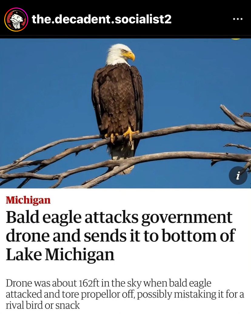 TimOnTheTractor's tweet photo. #NationalBird https://t.co/zf6mb8a9W6